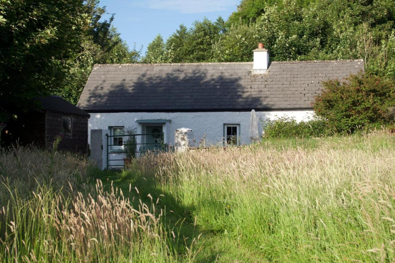 Clover Cottage Sligo Exterior photo